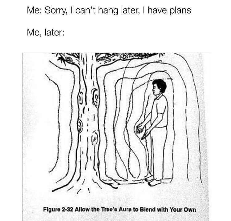 The meme is a humorous take on a person's lack of social planning. The text at the top reads "Me: Sorry, I can't hang out later, I have plans" and the response is "Me, later". The image below is a drawing of a person standing in front of a tree, with the tree's roots and branches wrapping around them, implying they're being "blended" into the tree. The caption "Figure 2-32: Allow the Tree's Aura to Blend with Your Own" is a tongue-in-cheek reference to a supposed "spiritual" or "new age" practice.